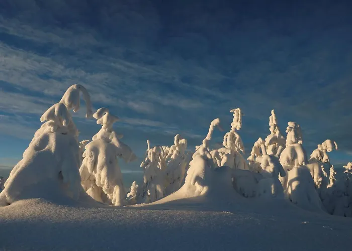 Alpinka シャレー ツェルクニェ・ナ・ゴレニスケム