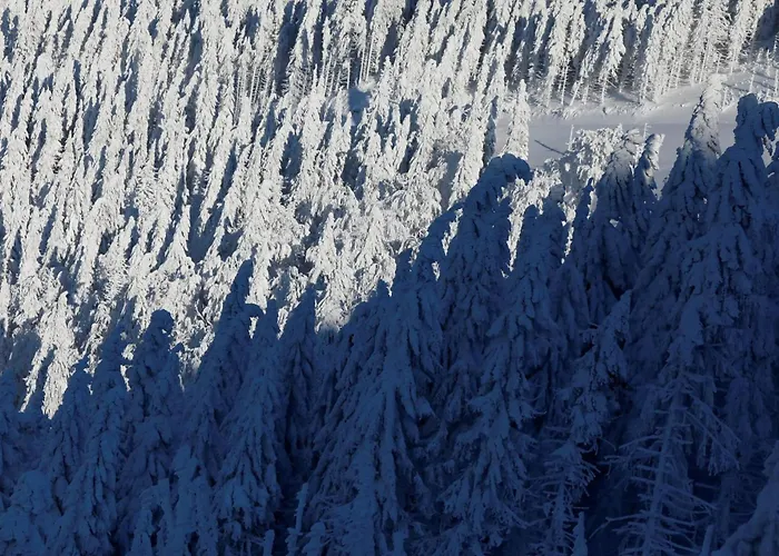 Alpinka ツェルクニェ・ナ・ゴレニスケム