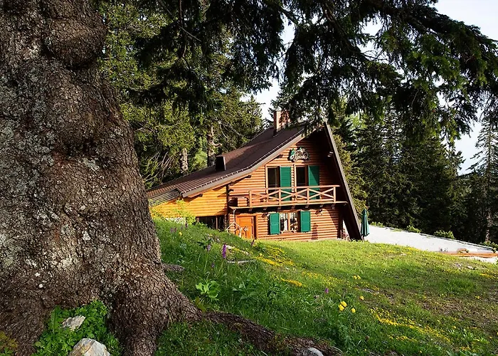 Chalet Alpinka